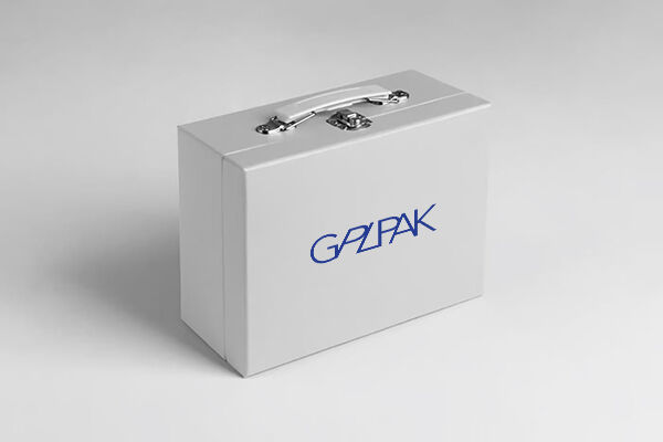 Suitcase boxes